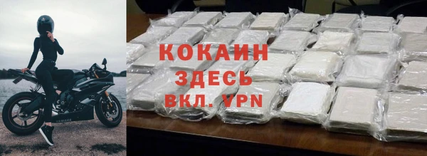 прущие грибы Вязники