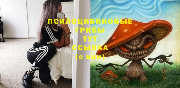 прущие грибы Баксан