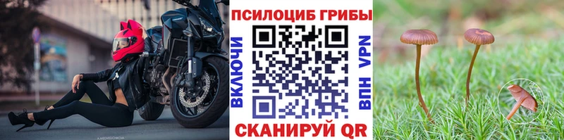 Псилоцибиновые грибы Psilocybe  Нюрба 
